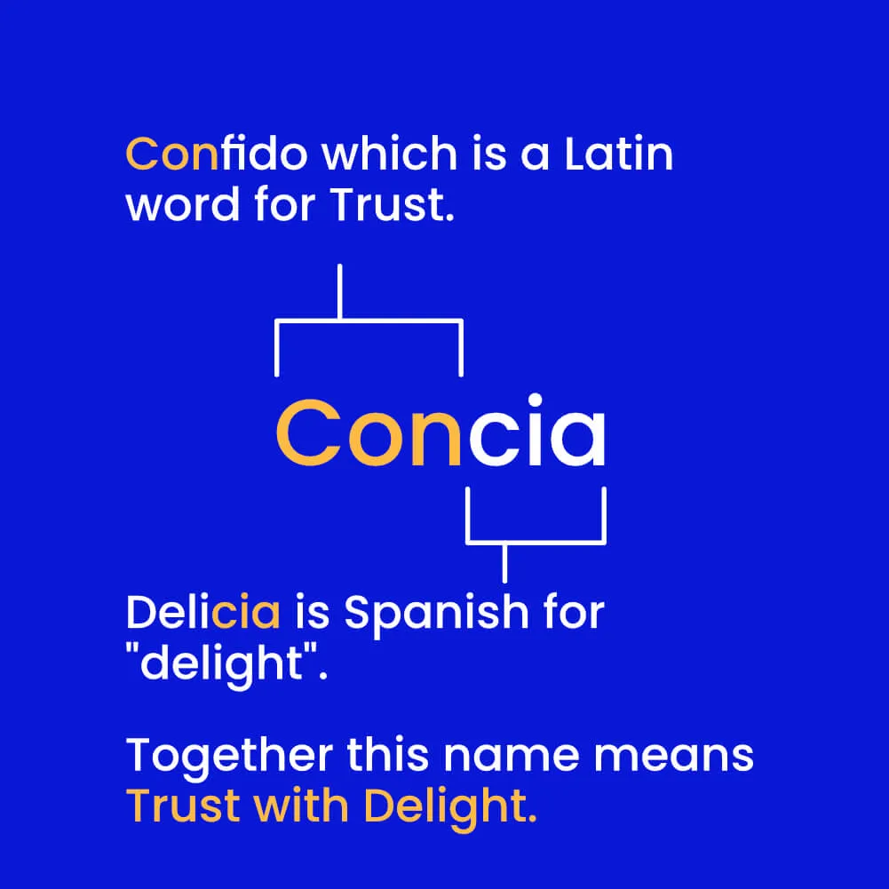 concia Meaning